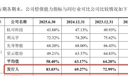 IPO雷达 | 与宁德时代高度绑定，恒翼能“出海”破局低毛利率困境|界面新闻 · 证券