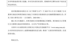 泰禾集团董事长黄其森解除留置措施，公司负债近700亿|界面新闻 · 地产