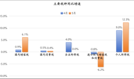 个人所得税连续两个月高增，背后可能有四个原因 |界面新闻