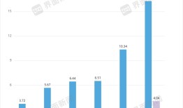 站在减肥药风口上的诺泰生物是怎么财务造假的？|界面新闻