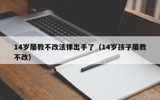 14岁屡教不改法律出手了（14岁孩子屡教不改）