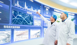 从一棵草、一杯奶到一代人，伊利如何助力乡村全面振兴？|界面新闻