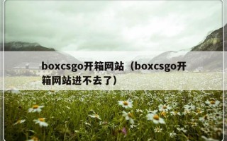 boxcsgo开箱网站（boxcsgo开箱网站进不去了）