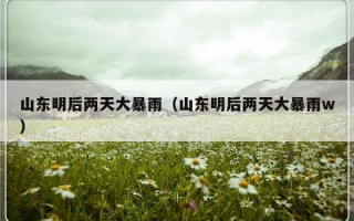 山东明后两天大暴雨（山东明后两天大暴雨w）