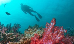新加坡万态雨林悦榕庄4月亮相，国泰航空开通乌鲁木齐航线 | 一周旅行指南|界面新闻 · 旅行