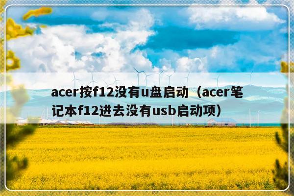 acer按f12没有u盘启动（acer笔记本f12进去没有usb启动项）-第1张图片-乐修号